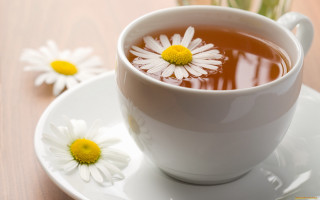 Cup tea flower saucer table - a saucer free wallpaper