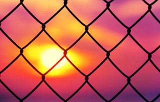 Sunset chain link fence bird - mesh wire free wallpaper