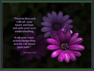 Purple flower bible verse purple - a purple border free wallpaper