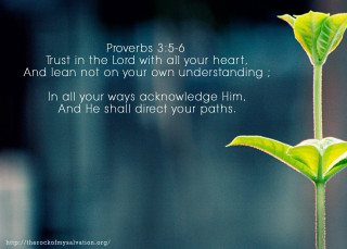 Green plant bible verse tattoo - a bible verse free wallpaper