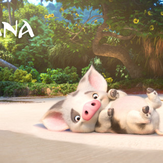 Pigs laying sandy ground forest - sandy free wallpaper for tablet