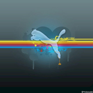 Colorful abstract dove rainbow background - david martin free wallpaper for tablet