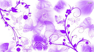 Purple white background flowers butterflies - side and a butterfly free wallpaper