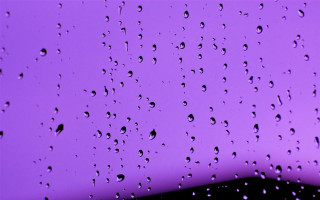 Purple background rain drops black - free rain wallpaper