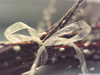 Sticks bow ribbon closeup image - the end free wallpaper