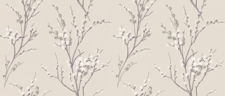 White flowers branches beige background - gray background free wallpaper for desktop
