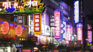 City street neon signs trees - cui bai free wallpaper