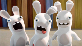 Three white rabbits blue eyes - shock art free wallpaper