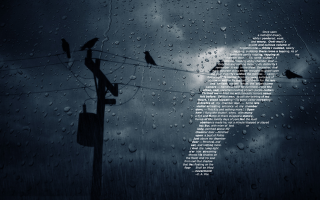 Birds power line rain sky - the rain free wallpaper