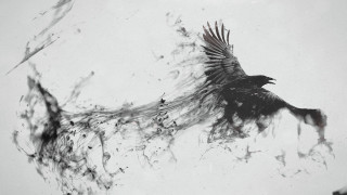 Bird flying wings spread out - dark art free wallpaper