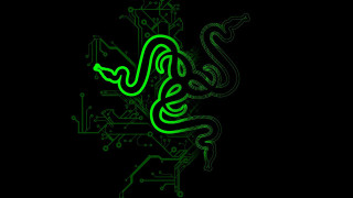 Green snake black background circuit 2 - a green snake free wallpaper