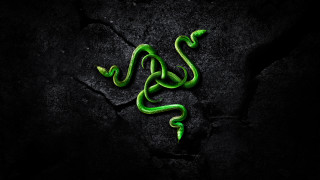 Green snake black surface cobra - a green snake free wallpaper