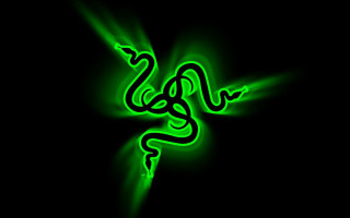 Green snake glowing dark curled - its tail free wallpaper