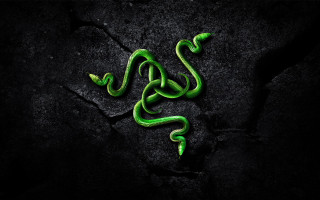 Green snake black surface aurora - back end free wallpaper