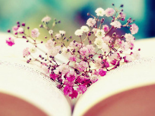 Book flowers cherryblossoms hanami moon - a book free wallpaper for desktop