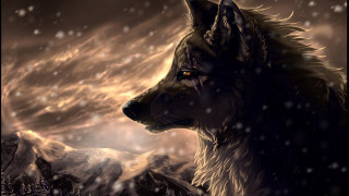 Wolf staring distance snowy sky - a wolf free wallpaper