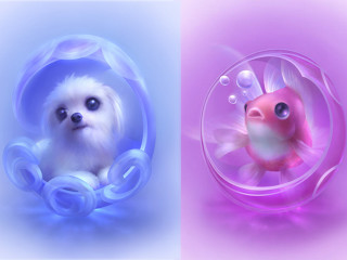 Dog bubble fish inside bubble - a bubble free wallpaper for desktop