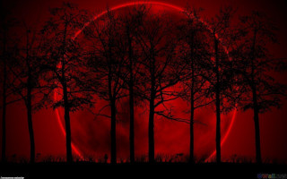 Red moon autumn bamboo gothic - a red moon free wallpaper