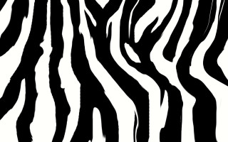 Zebra print pattern black white - jagged free wallpaper