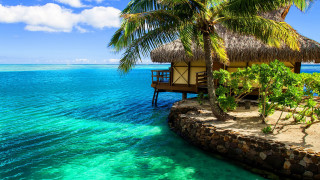 Hut beach palm tree dock - a hut free wallpaper