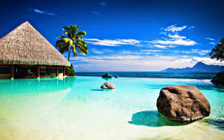 Tropical beach pool hut palm - a tropical beach free wallpaper