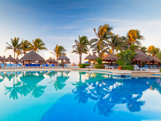 Large pool palm trees blue - a large pool free wallpaper for desktop