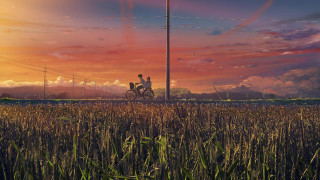 Man riding bike field sunset - a bike free wallpaper