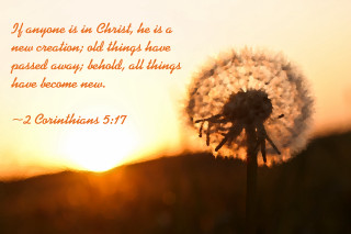 Dandelion bible verse sunset quote - the bible free wallpaper