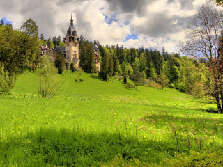 Large building hill forest background - ferenc joachim free wallpaper
