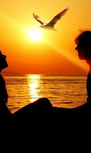 Beach couple sunset birds romantic - a couple sitting free wallpaper