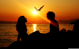 Couple water sunset bird flying - over them free wallpaper