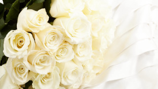White roses bouquet white cloth - white rose free wallpaper