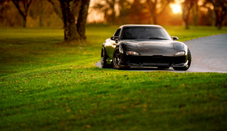 Car driving road grass trees - clean line free wallpaper