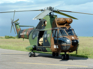 Helicopter runway grass trees sky - top of a runway next free wallpaper