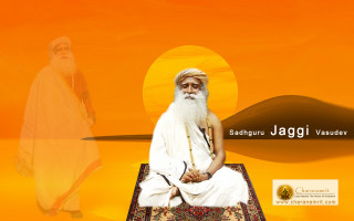 Man sitting rug white beard - a white beard free wallpaper