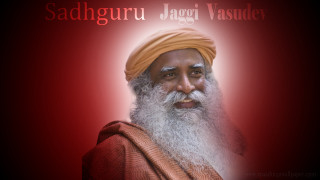 Man long white beard yellow - a long white beard free wallpaper