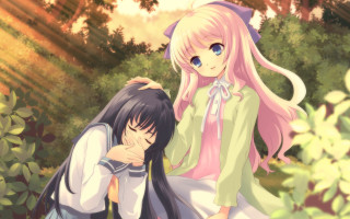 Anime girls sitting grass together - the others head and the other free wallpaper