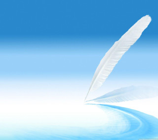 White feather flying water blue - a blue sky in the background free wallpaper for tablet