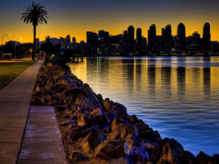 City skyline lake sunset sidewalk - a palm tree in the foreground free wallpaper