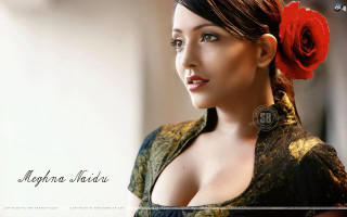 Woman flower dress head red - a red rose free wallpaper