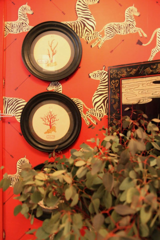 Red wall zebras mirror plant - a red wall free wallpaper for mobile