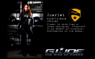 Woman black suit shield wall - a shield free wallpaper