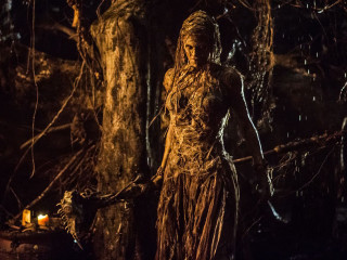 Woman dress woods tree candle - the wood next free wallpaper