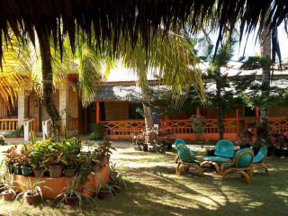 Lawn chairs plants house thatched - color free wallpaper