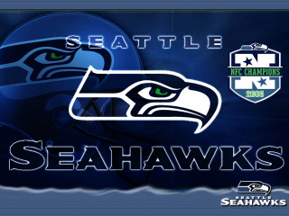 Seattle seahawks helmet birds digital - free bird wallpaper for desktop