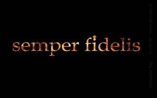 Black background gold text semper - felipe seade free wallpaper for desktop