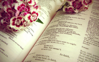 Book flowers top words read - english free wallpaper