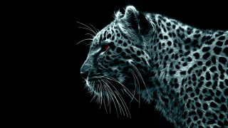Leopard face red eyes black - red eye free wallpaper for desktop