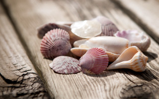 Sea shells wooden table sand - dionisiu free wallpaper