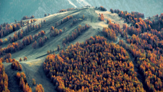 Mountain forest snowy background autumn - mountain in the background free wallpaper